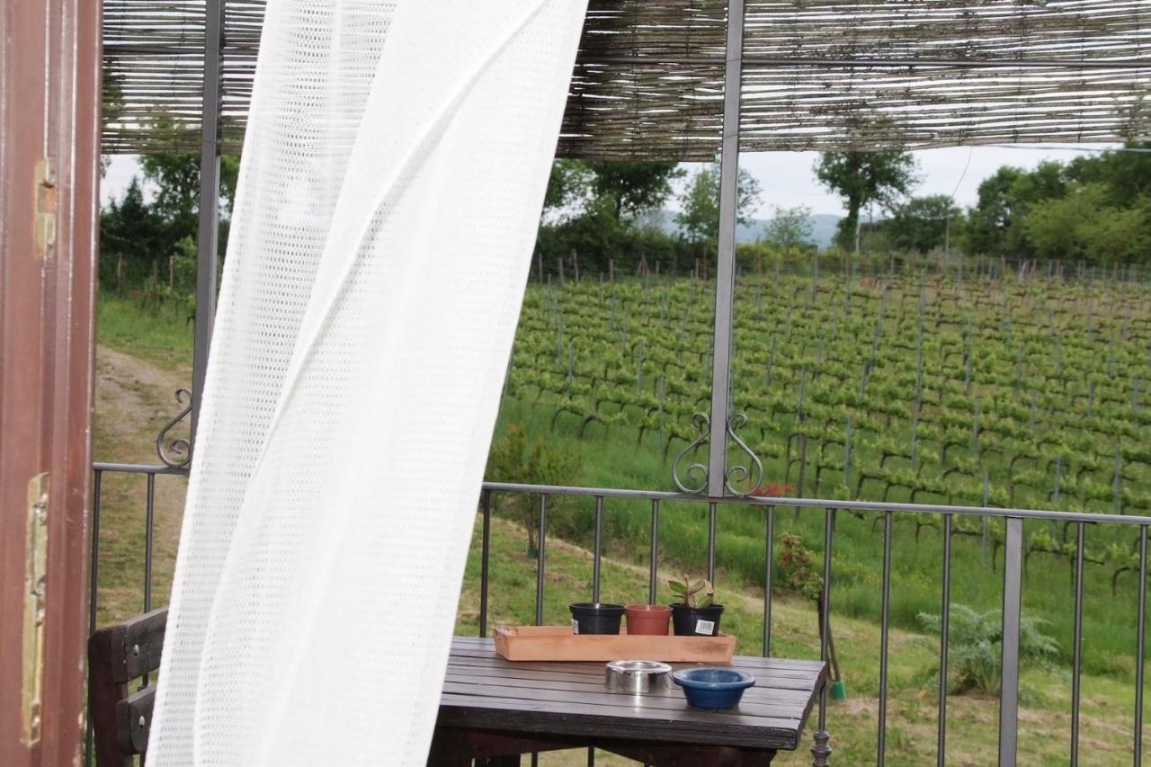 Il Pino Bioagricoltura Villa Terranuova Bracciolini Eksteriør bilde